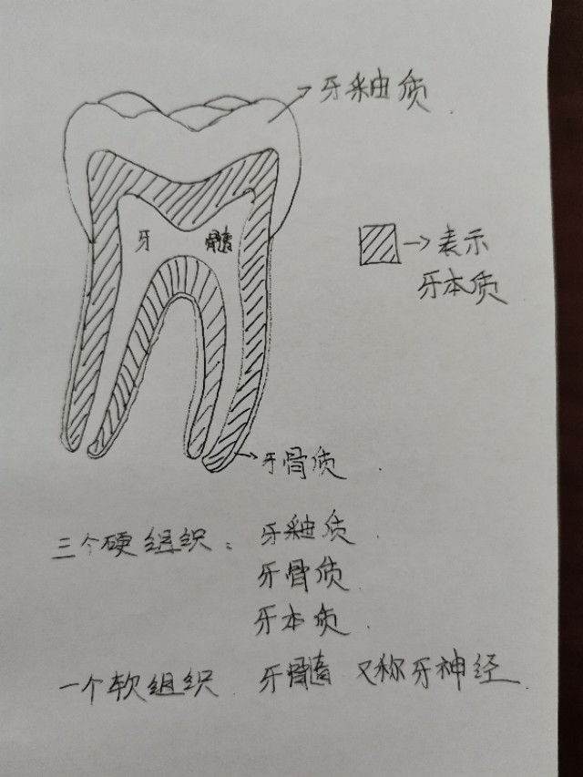 蛀牙的原因简笔画图片